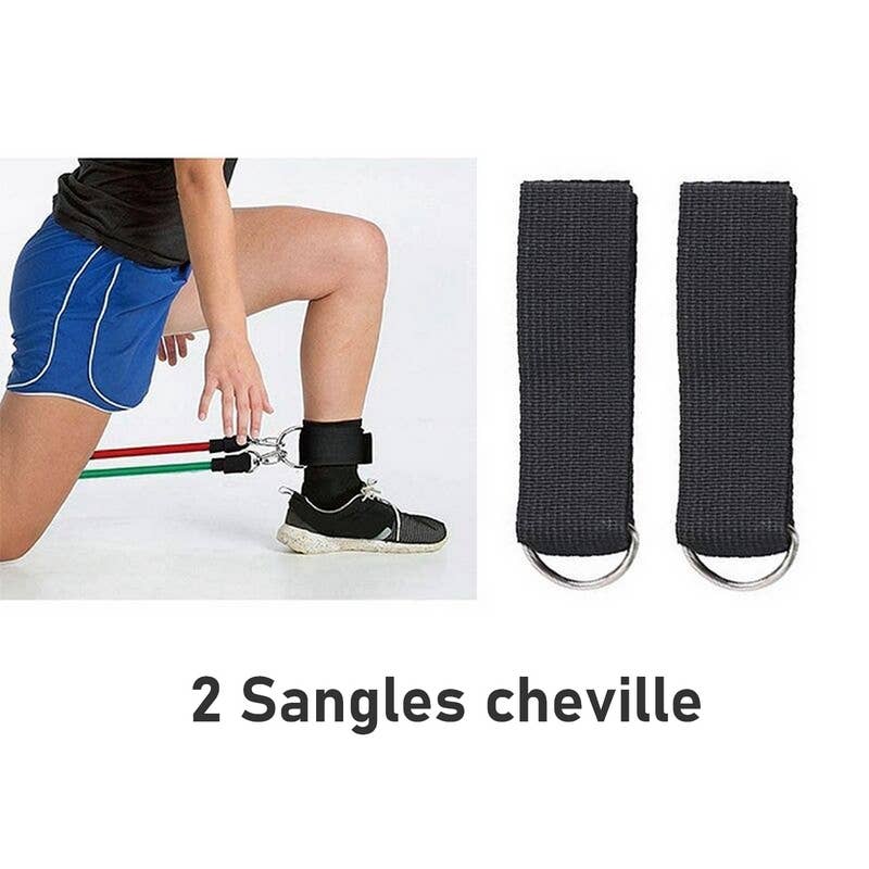 Training Accessories Set